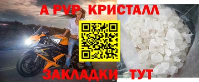 бошки Гатчина