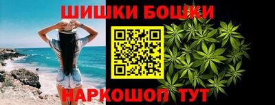 тгк Гай