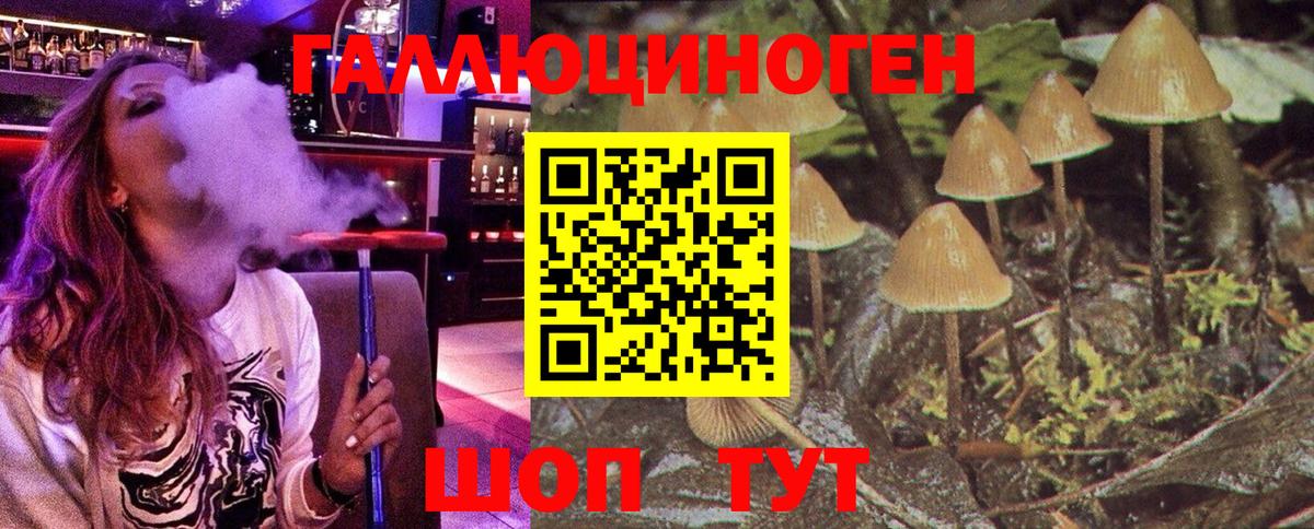 Псилоцибиновые грибы Psilocybine cubensis Мичуринск