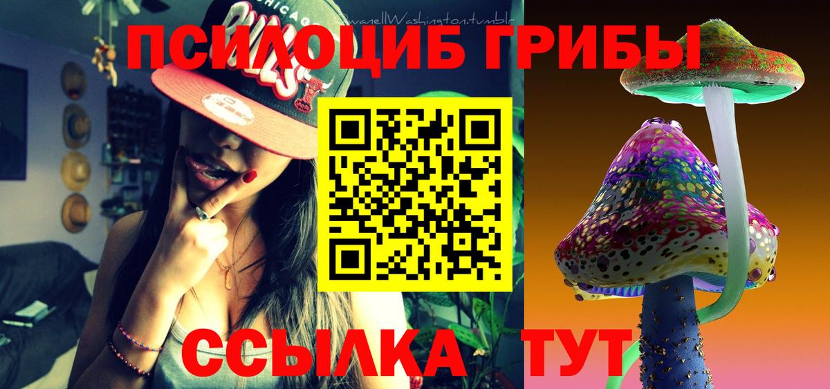 Мичуринск  Псилоцибиновые грибы прущие грибы  Вход с VPN 